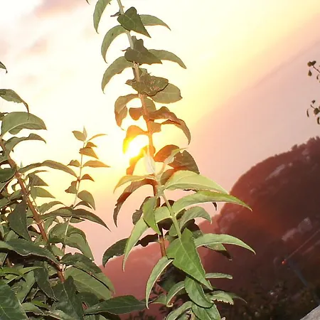 アグリトゥーリズモ ラ ジネストラ ファームステイ *