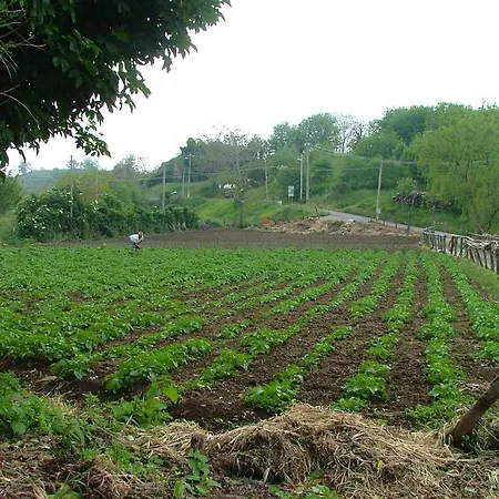 Farma Agriturismo La Ginestra
