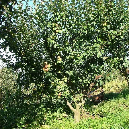 Agriturismo La Ginestra Farm stay Vico Equense