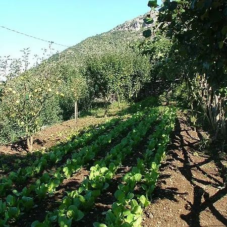Agriturismo La Ginestra Farm stay