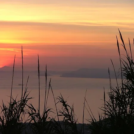 Agriturismo La Ginestra Farm stay
