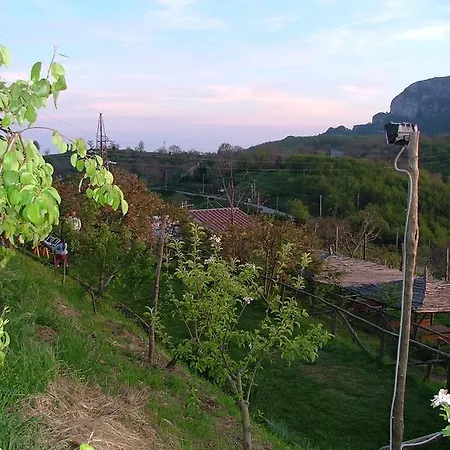 Agriturismo La Ginestra Farma