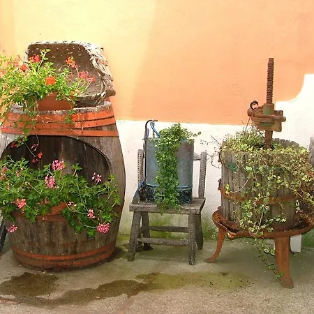 Farm stay Agriturismo La Ginestra Vico Equense