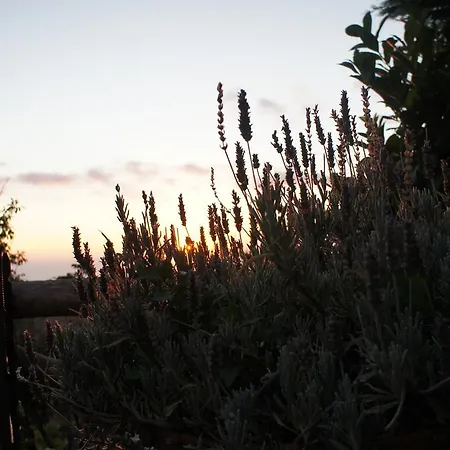 Agriturismo La Ginestra
