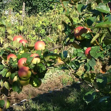 Farma Agriturismo La Ginestra Vico Equense