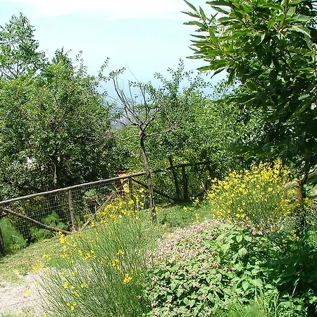 Agriturismo La Ginestra * Vico Equense