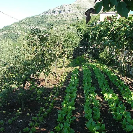 Agriturismo La Ginestra
