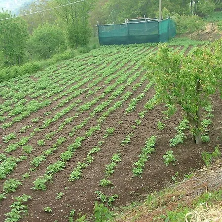 Agriturismo La Ginestra *