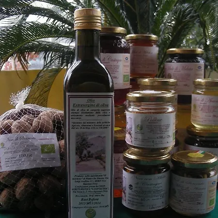 Farma Agriturismo La Ginestra