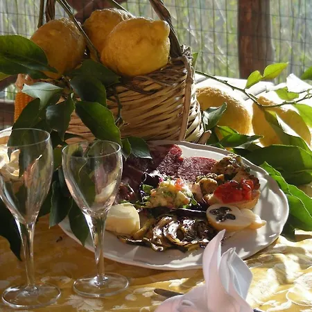 Agriturismo La Ginestra Farm stay Vico Equense